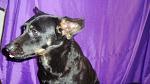     
: DSC09621.jpg
: 5
:	96.4 
ID:	7581431