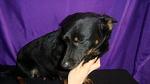     
: DSC09619.jpg
: 3
:	69.8 
ID:	7581433