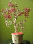     
: IMG_4304.JPG
: 8
:	246.1 
ID:	7582932