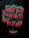     
: IMG_6911.jpg
: 31
:	115.6 
ID:	7584359