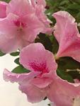    
: ImageUploadedByTapatalk1390768737.424419.jpg
: 7
:	25.9 
ID:	7584802