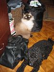     
: IMG_0063.jpg
: 47
:	101.8 
ID:	7586547