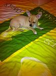     
: фото 1.JPG
: 15
:	56.1 
ID:	7592002