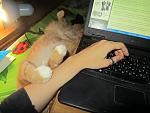     
: IMG_5640.jpg
: 5
:	111.8 
ID:	7595753