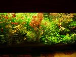     
: attachment.p111p.jpeg
: 8
:	116.5 
ID:	7596105
