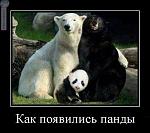     
: getImage (5).jpg
: 14
:	38.6 
ID:	7596467