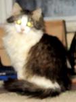     
: IMG_3169.jpg
: 34
:	72.0 
ID:	7597274