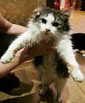     
: IMG_3121.jpg
: 45
:	91.3 
ID:	7597276