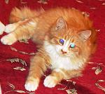     
: IMG_3139.jpg
: 37
:	138.9 
ID:	7597278