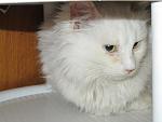     
: IMG_3160.jpg
: 25
:	80.2 
ID:	7597280