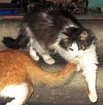     
: IMG_3172.jpg
: 29
:	89.4 
ID:	7597281