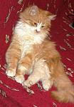     
: IMG_3148.jpg
: 30
:	93.3 
ID:	7597282