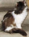     
: IMG_3167.jpg
: 39
:	58.7 
ID:	7597283