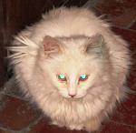     
: IMG_3183.jpg
: 29
:	103.0 
ID:	7597284
