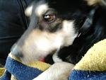     
: DSC_0177.jpg
: 22
:	107.2 
ID:	7598400