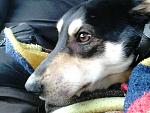     
: DSC_0178.jpg
: 20
:	136.6 
ID:	7598402