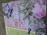     
: IMG_7384.jpg
: 6
:	208.9 
ID:	7599367