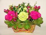     
: DSC05857.jpg
: 41
:	179.3 
ID:	7600472