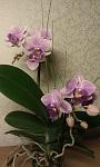     
: IMAG0360.jpg
: 5
:	68.2 
ID:	7600563