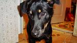     
: DSC09636.jpg
: 8
:	87.8 
ID:	7600947