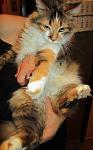     
: IMG_3162.jpg
: 9
:	72.0 
ID:	7601531