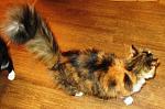     
: IMG_3164.jpg
: 8
:	151.7 
ID:	7601532
