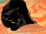     
: IMG_3182.jpg
: 14
:	147.4 
ID:	7601535