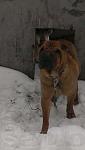     
: itbo-1sslp8.jpg
: 17
:	10.0 
ID:	7603885