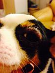    
: image.jpg
: 43
:	70.5 
ID:	7604219