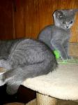     
: IMG_20140130_174137-1309585468.JPG
: 7
:	92.6 
ID:	7606682
