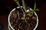     
: DSC_0456.jpg
: 12
:	70.7 
ID:	7607923