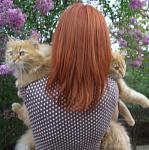     
: getImagedfghj.jpg
: 26
:	60.9 
ID:	7609442