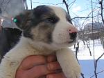     
: P1010757.jpg
: 9
:	112.4 
ID:	7613032