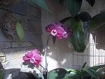     
: HPIM4236.jpg
: 7
:	133.3 
ID:	7618809