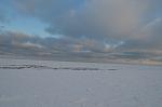     
: DSC_0146.jpg
: 23
:	50.8 
ID:	7619068