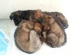     
: 20140202_140439.jpg
: 11
:	95.8 
ID:	7619684