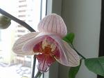     
: 2014-02-02 10.27.53.jpg
: 6
:	78.5 
ID:	7621531