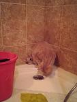     
: qS8peGJCygE.jpg
: 3
:	46.6 
ID:	7626264