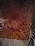     
: GhFJEOUTDd0.jpg
: 3
:	52.7 
ID:	7626265