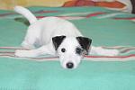     
: DSC_0412.JPG
: 12
:	193.0 
ID:	7627641