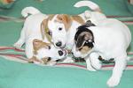     
: DSC_0157.JPG
: 17
:	208.9 
ID:	7627642