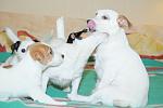     
: DSC_0270.JPG
: 14
:	182.8 
ID:	7627643