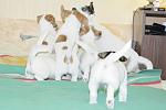     
: DSC_0227.JPG
: 10
:	184.3 
ID:	7627645