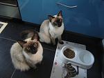     
: IMG_0157.jpg
: 8
:	86.7 
ID:	7628564