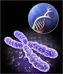     
: chromosome-880.jpg
: 6
:	58.2 
ID:	7630444