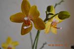     
: DSC_4299.jpg
: 5
:	64.5 
ID:	7632843