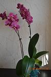     
: DSC_4300.jpg
: 4
:	79.4 
ID:	7632845