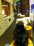     
: IMG_1860.jpg
: 11
:	98.8 
ID:	7634128