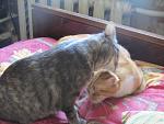     
: IMG_5696.jpg
: 1
:	111.6 
ID:	7634722