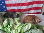     
: IMG_5715.jpg
: 2
:	130.6 
ID:	7634723